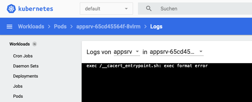 k8s exec format error